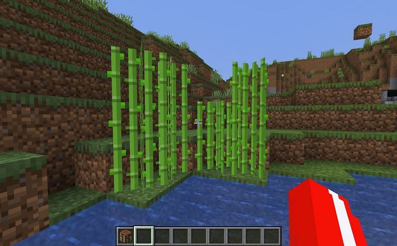 Sugarcane - Make Paper In Minecraft