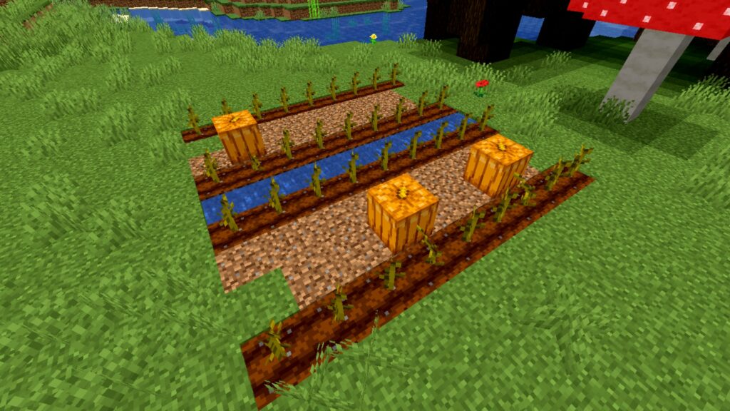 How To Grow Pumpkins in Minecraft?