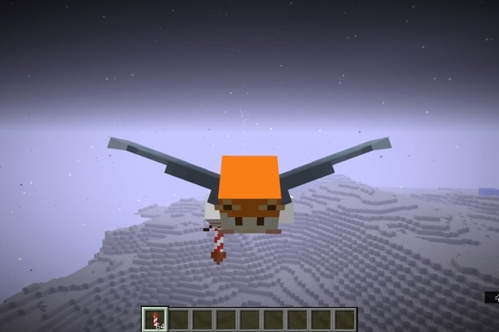 How to Fly in Minecraft?