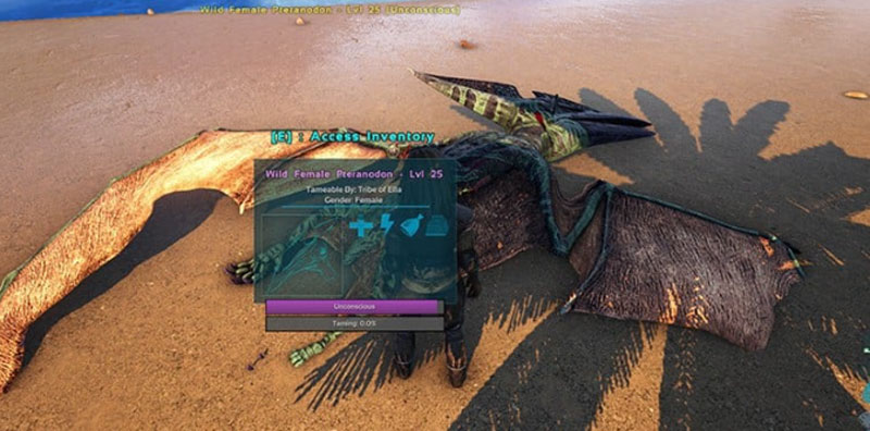 Pteranodon: what is it? - How to Tame a Pteranodon in ARK: Survival Evolved